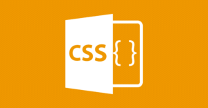 Le CSS, C'est Quoi ?  Blog Développement 2C Solution