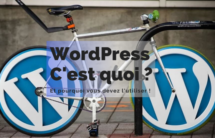 WordPress, C’est quoi ?
