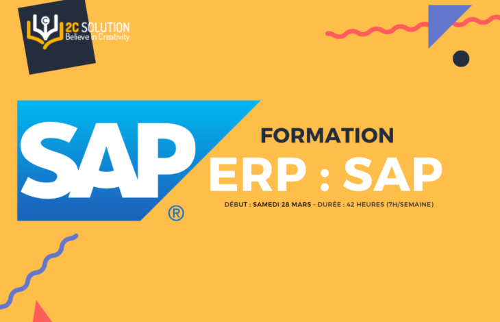 Consultant SAP ERP