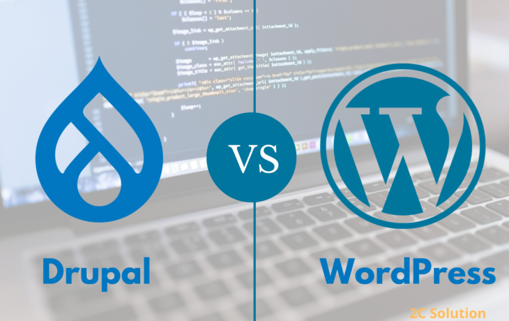 Drupal vs WordPress : Quel CMS choisir?